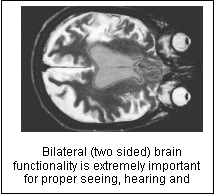 Text Box:  
Bilateral (two sided) brain functionality is extremely important for proper seeing, hearing and thinking.
