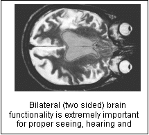 Text Box:  
Bilateral (two sided) brain functionality is extremely important for proper seeing, hearing and thinking.
